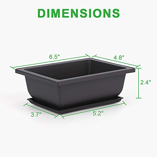 GROWNEER 6 Packs 6.5 Inch Bonsai Training Pots with Drainage Humidity Trays, Bonsai Tree Kits with 1 Repotting Mat, Growing Planter for Garden, Yard, Balcony, Office, Indoor, Outdoor - Image 2