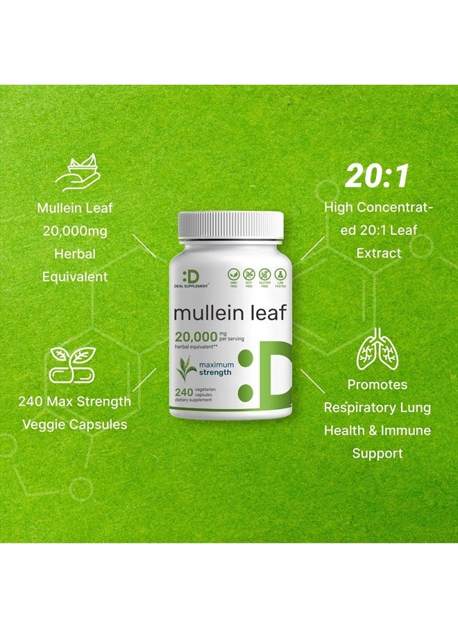 DEAL SUPPLEMENT Mullein Leaf Extract 20,000mg, 240 Veggie Capsules – 4 Month Supply – Natural Lung Detox Herbal Supplement – Supports Respiratory & Immune Health – Non-GMO, Vegan  - Image 4