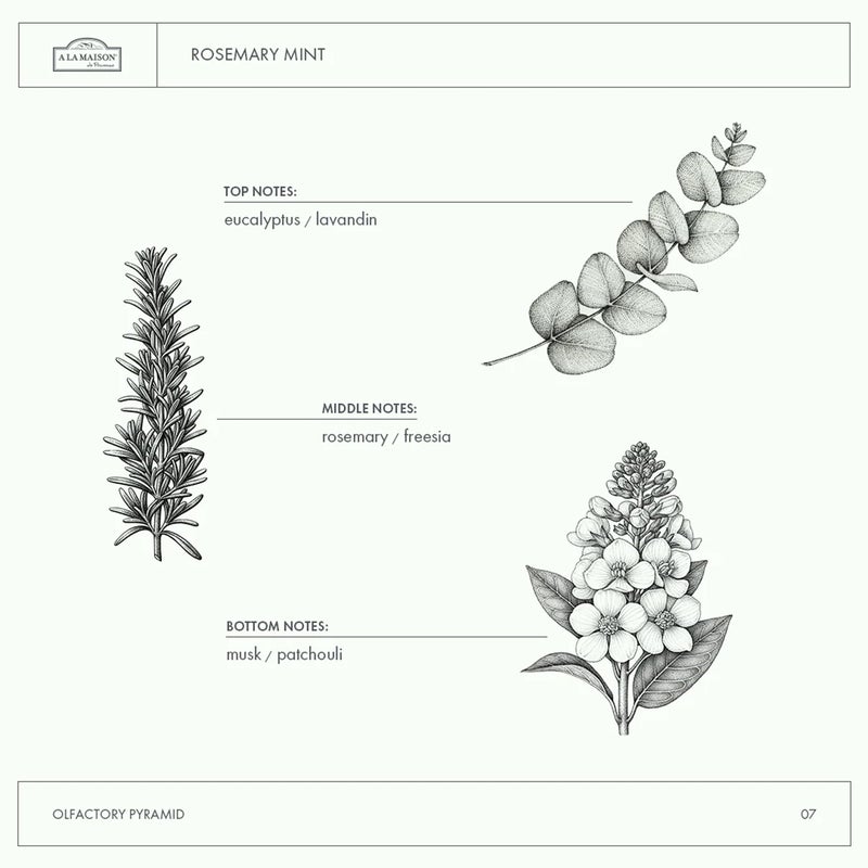 A LA MAISON Rosemary Mint Liquid Soap Bottles Moisturizing Natural Hand Wash Soap, Triple French Milled, Gentle To Hands, 33.8 Fl Oz - Image 5