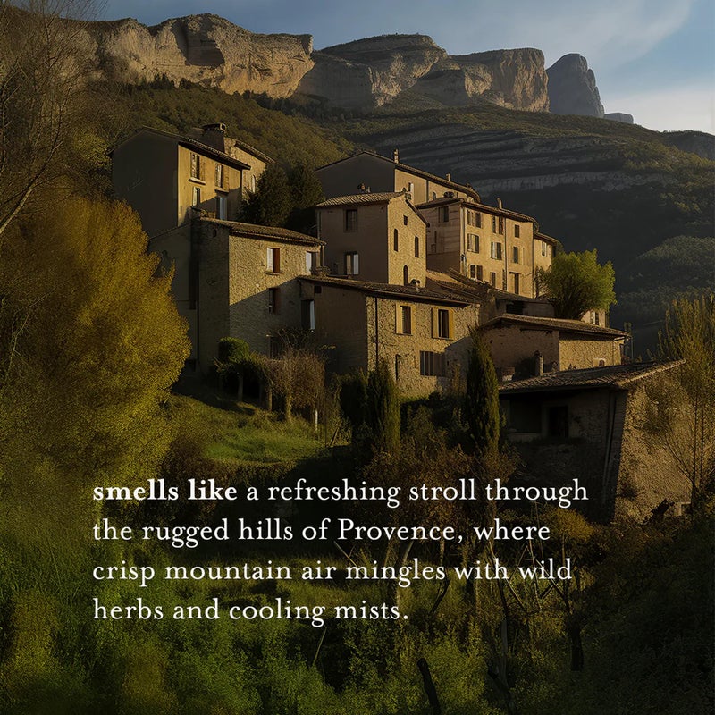 A LA MAISON Rosemary Mint Liquid Soap Bottles Moisturizing Natural Hand Wash Soap, Triple French Milled, Gentle To Hands, 33.8 Fl Oz - Image 4