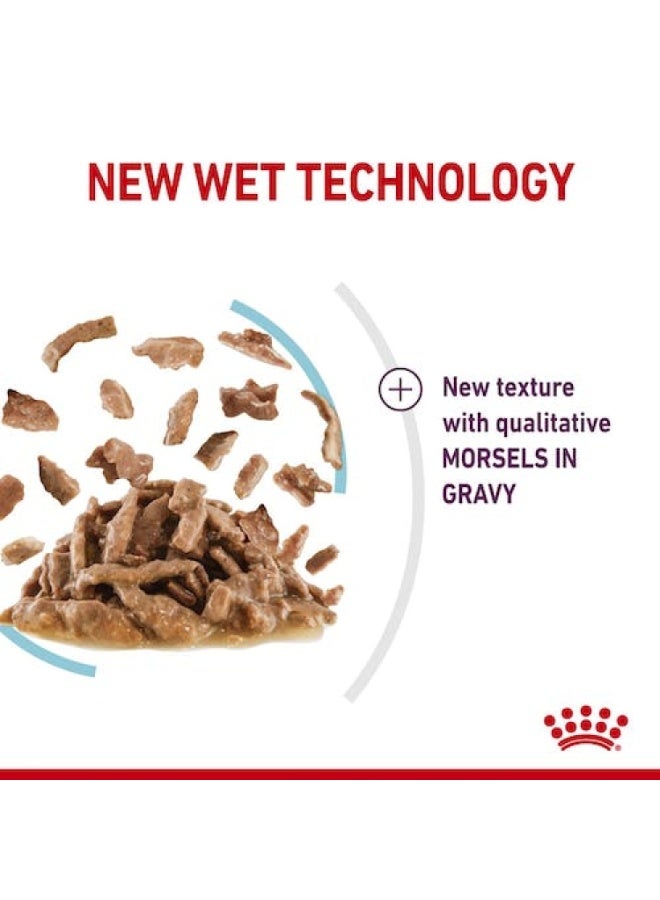Royal Canin Feline Health Nutrition Sensory Feel Gravy Cat Wet Food - 12X85g - Image 2
