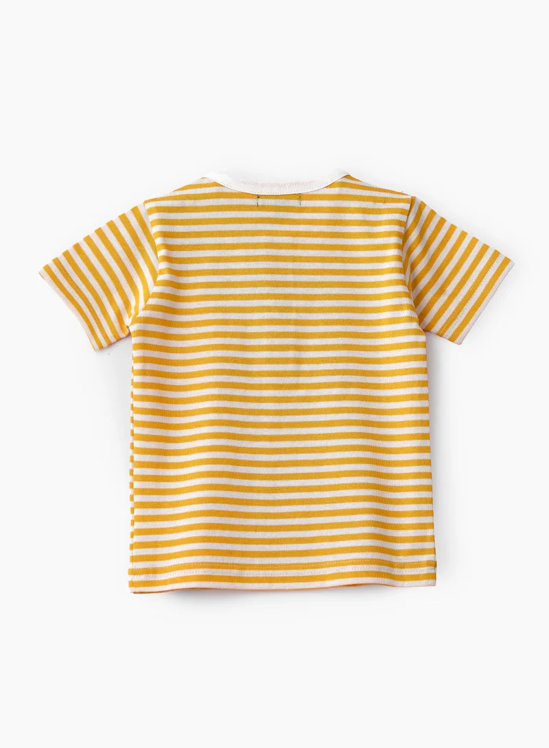 JAM Boys' Yellow Striped Cotton Polo T-Shirt