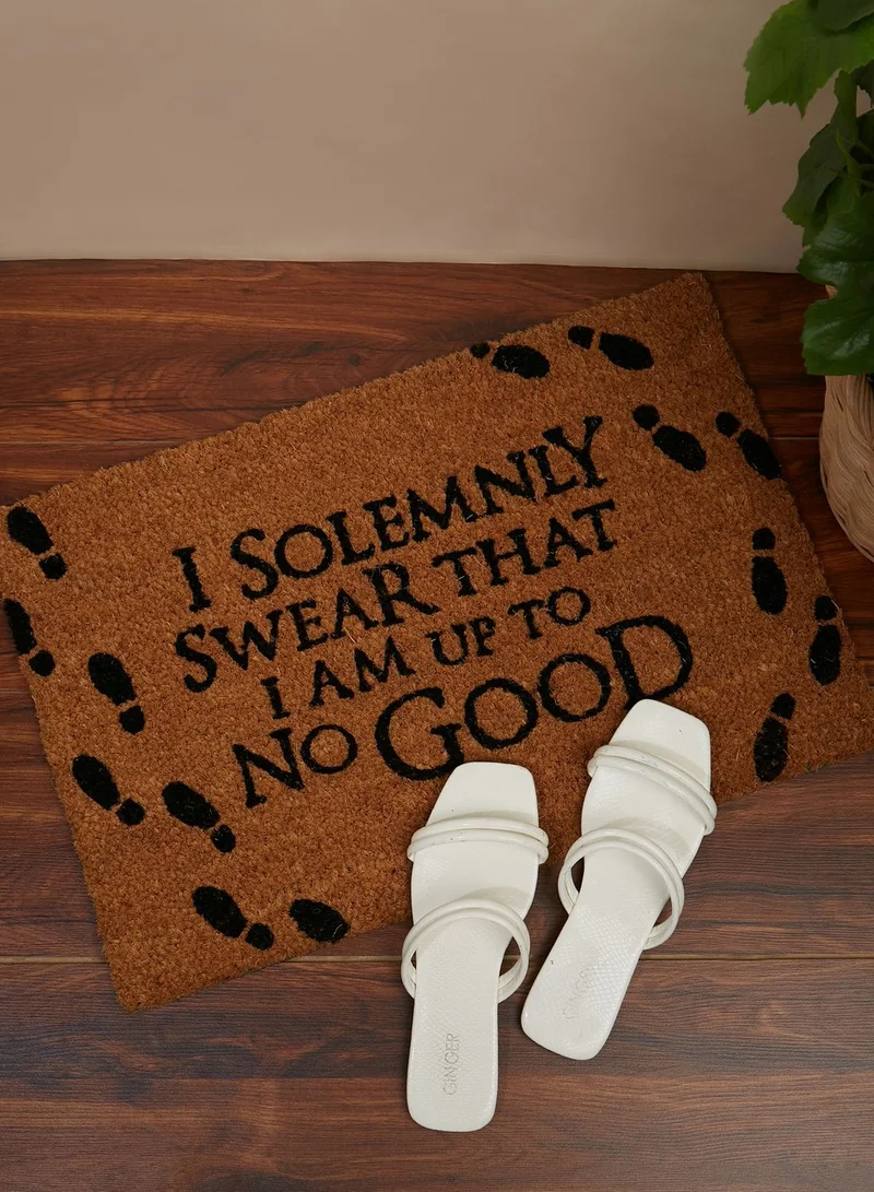 Harry Potter Harry Potter I Solemnly Swear Doormat