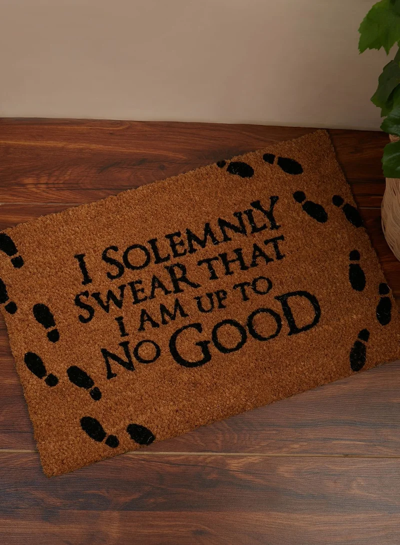 Harry Potter Harry Potter I Solemnly Swear Doormat