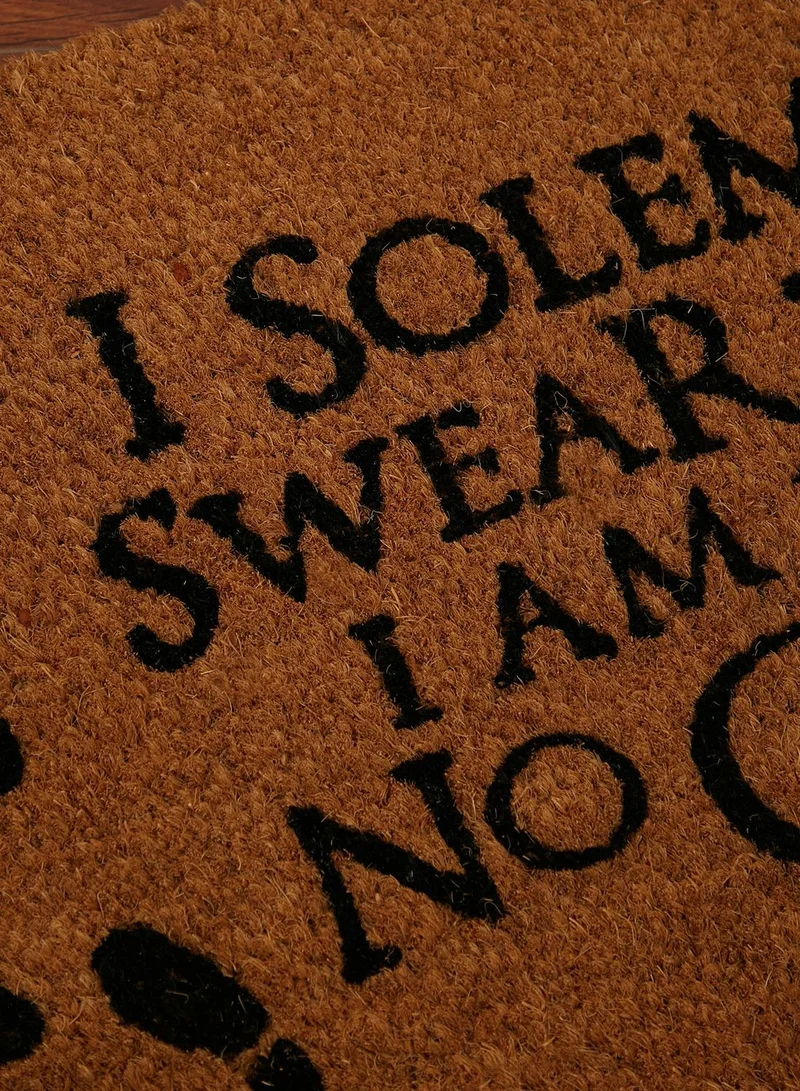 Harry Potter Harry Potter I Solemnly Swear Doormat