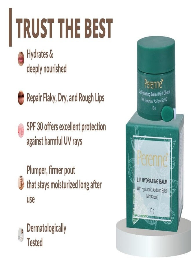 Perenne Pack Of Lip Hydrating Balm, Lightening Scrub & Sleeping Mask (Mint Choco, 10gm x 3) - Image 2