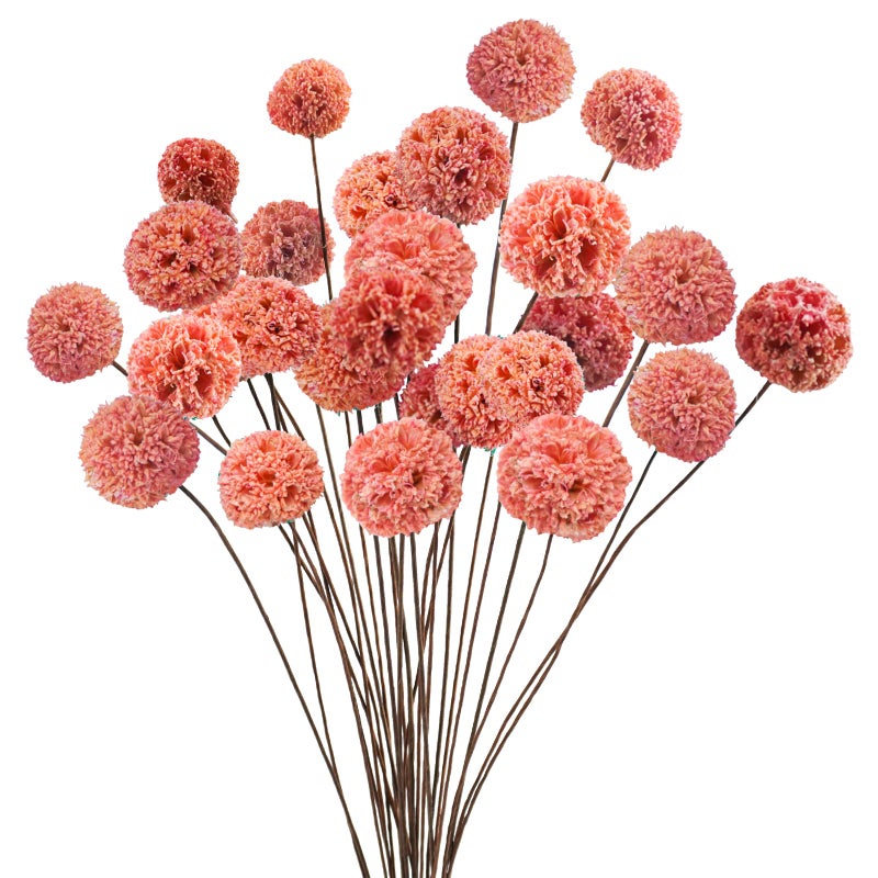Phliofd Phliofd 24 PCS Dried Craspedia Billy Balls Flowers 18 Natural Dried Flowers Bouquet for Vase Floral Arrangements Wedding Table Centerpieces Party DIY Home Decor Pink 