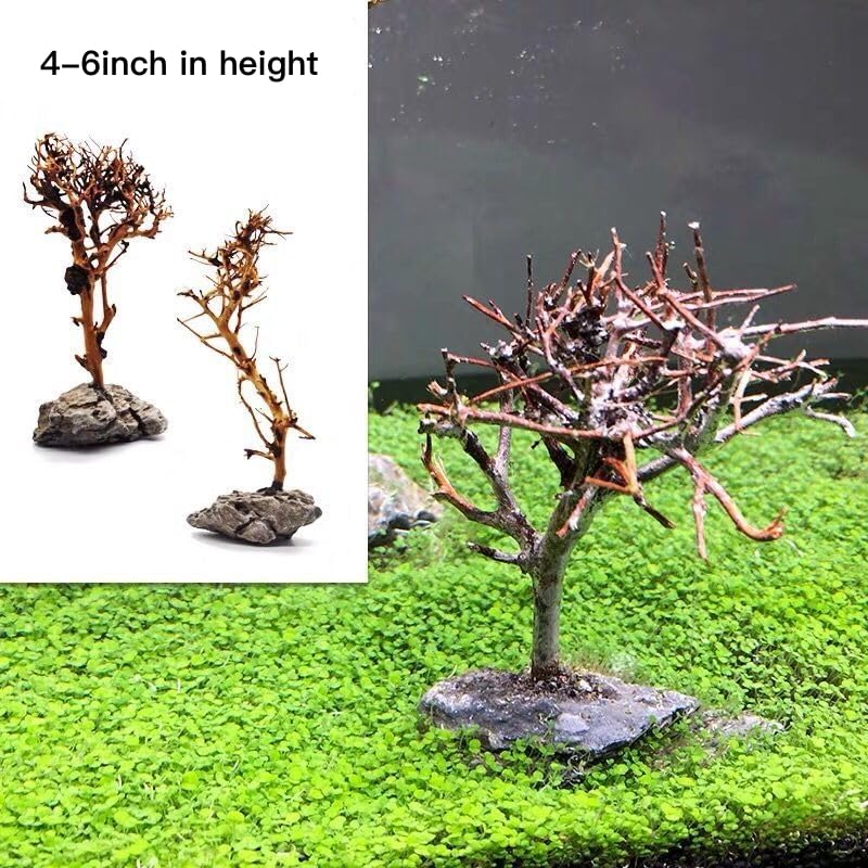 YZHZOM 2pcs Small Bonsai Aquarium Tree,4-6inch,Handmade Aquarium Bonsai Tree Aquarium Decor Tree - Image 2