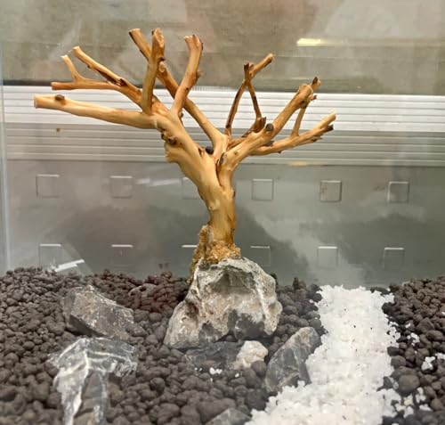 YZHZOM 2pcs Small Bonsai Aquarium Tree,4-6inch,Handmade Aquarium Bonsai Tree Aquarium Decor Tree - Image 4