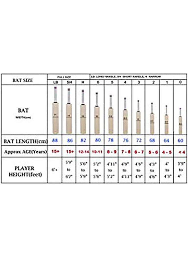 SG مضرب كريكيت نيكوس بلس كشمير ويلو مقاس 3 - Image 5