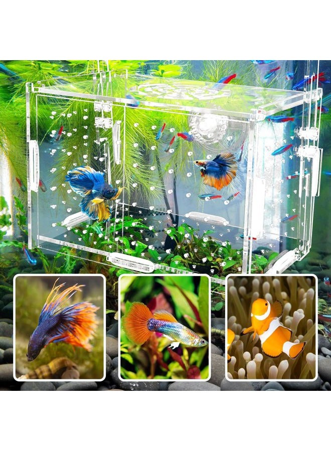 Hamiledyi Acrylic Breeding Isolation Box - Transparent Aquarium Hatchery for Guppy/Shrimp/Small Fish, Safe Nursery Tank with Air Tube & Suction Cups(5.9" × 3.9" × 3.9") - Image 4