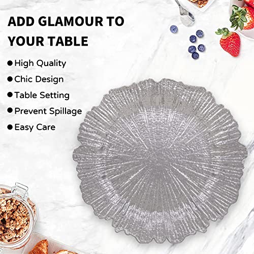 MAONAME Round 13" Silver Charger Plates, Reef Plate Chargers Set of 6, Plastic Table Chargers for Dinner Plates, Wedding, Thanksgiving, Christmas - Image 4