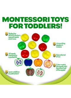 Skoolzy Apple Factory Learning Toy - Apple Toy For Toddlers - Toy Apple Pre School Learning Toy - Color Sorting Toys For Toddlers Age 3+  - Image 5