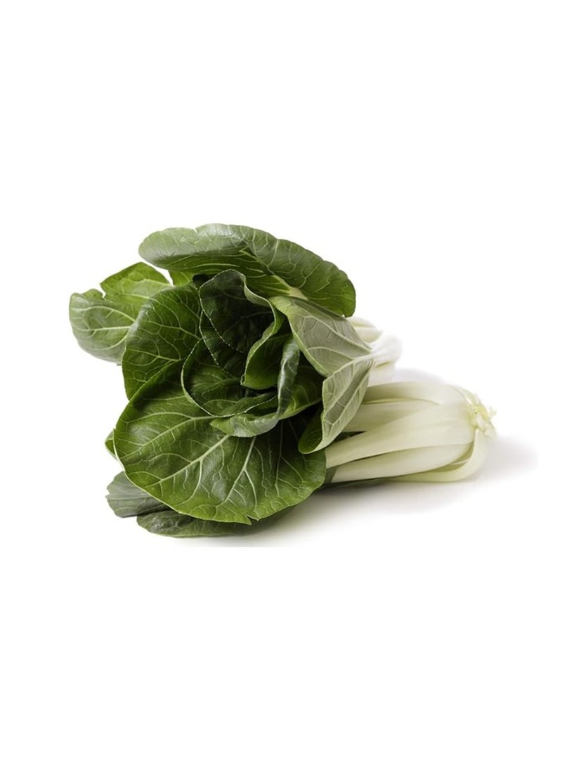 3Pack Bok Choy Organic Chinese Cabbage Seeds For Planting Grow Cabbage At Home NON GMO Vegetable Seeds With 98% Cleaness, 95% Purity, 80% Germination Rate 10g