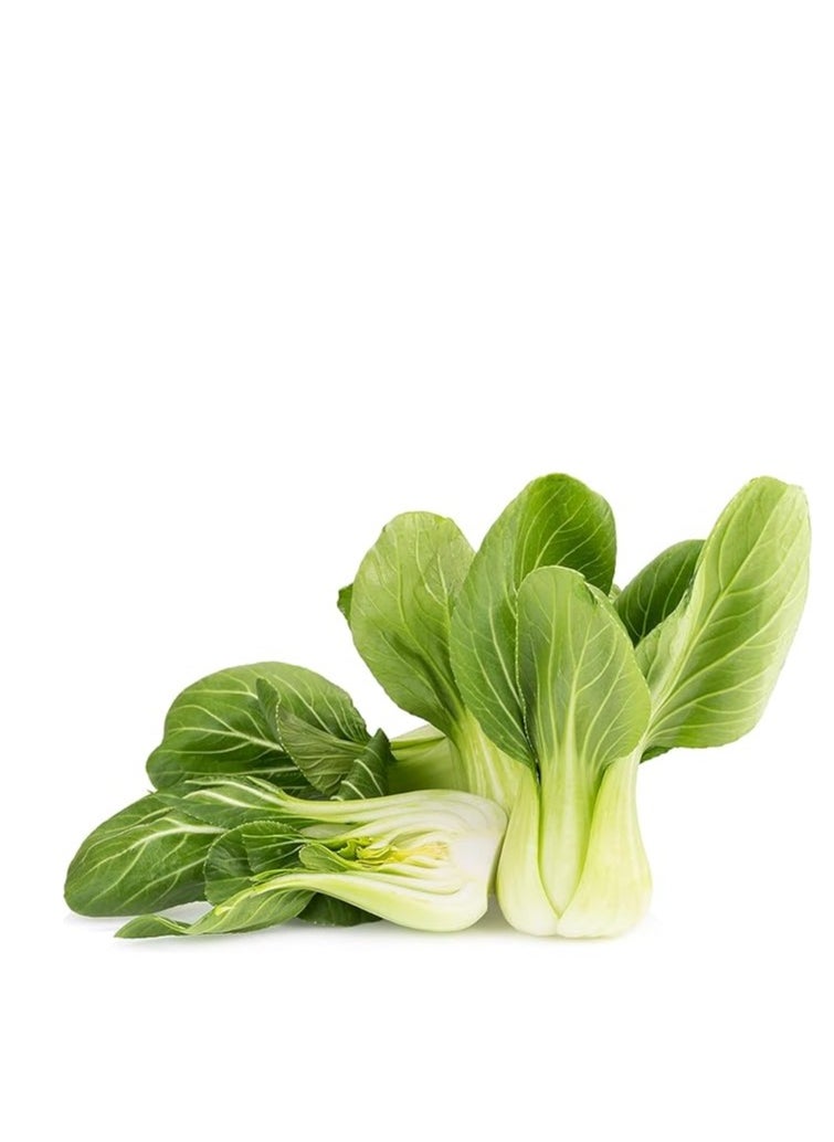 3Pack Bok Choy Organic Chinese Cabbage Seeds For Planting Grow Cabbage At Home NON GMO Vegetable Seeds With 98% Cleaness, 95% Purity, 80% Germination Rate 10g