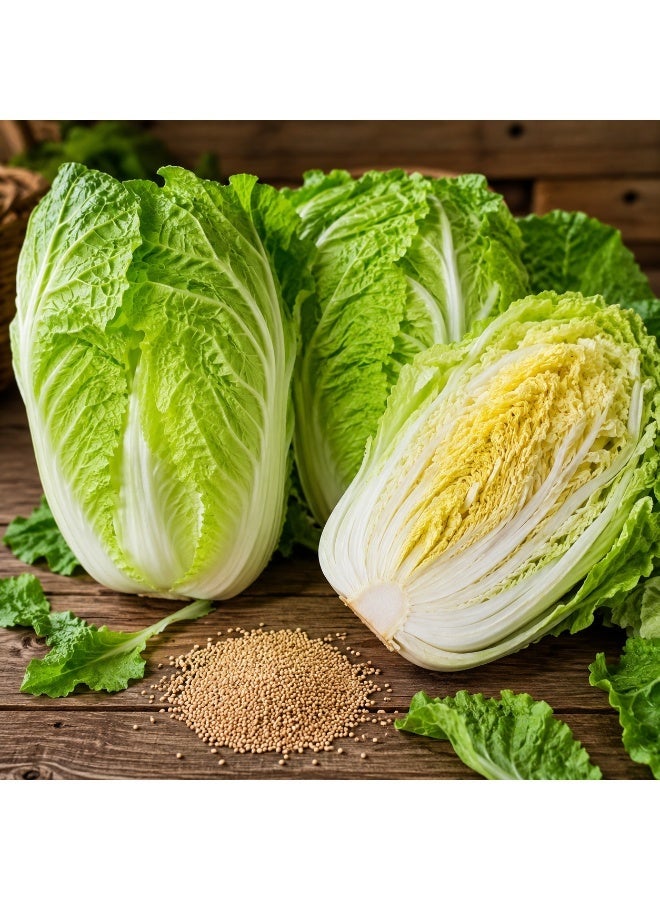 vsell24 PACK OF 3-Bok Choy Organic Chinese Cabbage Seeds For Planting Grow Cabbage At Home NON GMO Vegetable Seeds With 98% Cleaness, 95% Purity, 80% Germination Rate 10g - Image 3