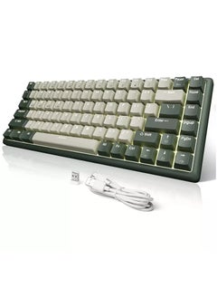 Gray/Green