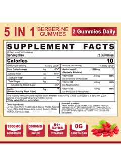 NEVISS Berberine Supplement 1500mg, AMPK Activator with 3G Prebiotic Fiber, B1 B3 B6, Sugar Free Berberine HCL Gummies for Women and Men - Supports Immune System, Digestive, Body & Management, 1pack 60 Cts  - Image 2