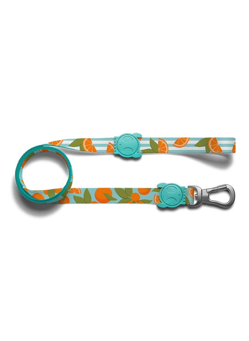 Zee.Dog Florida Leash Extra Small - pzsku/ZD0DD34AEDCF3A925FACCZ/45/_/1717606611/0e6f7235-be56-420c-94e1-ca7582406812