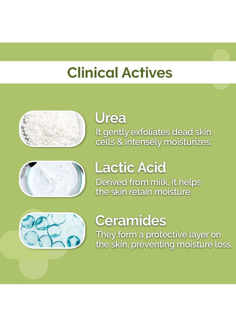 THE derma Co The Derma Co 4% Urea Deep Moisturizing Cream with Lactic Acid & Ceramide Complex | Deeply Moisturizes | Gently Exfoliates| Repairs Skin’s Natural Barrier | Lightweight Formula I For Very Dry Skin-100g  - Image 4
