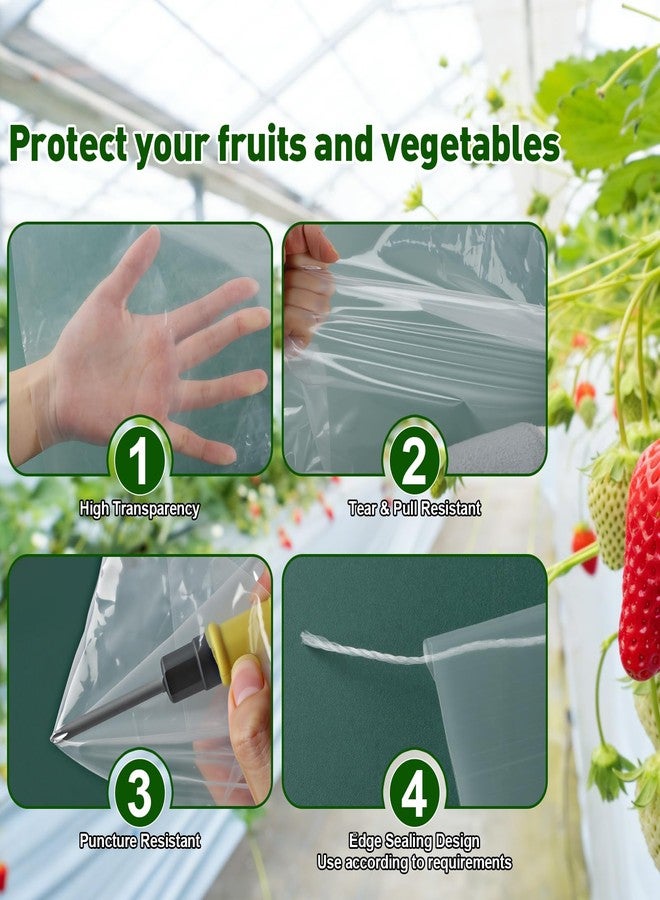 LECWELL Greenhouse Plastic Sheeting，6.5ftx5.9ft Greenhouse Film,Clear Polyethylene Film for Outdoor Plant,Farms,Garden,Agriculture,Waterproof Wind Frost Dust - Image 3