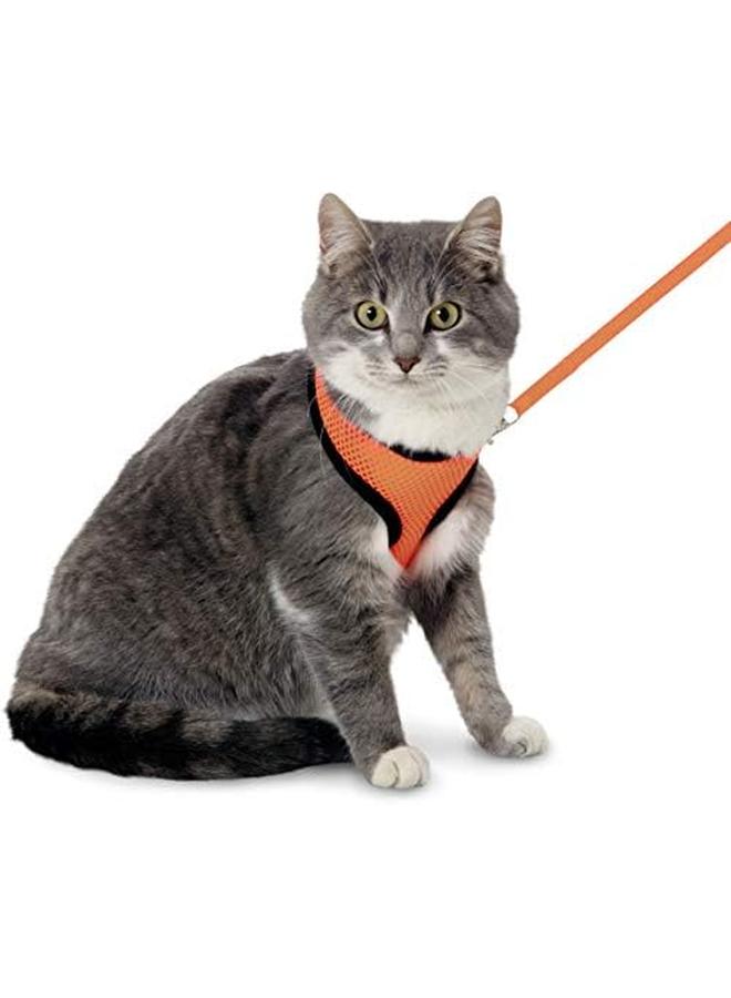Flamingo Kitten Harness And Lead Set For Cats - Image 2