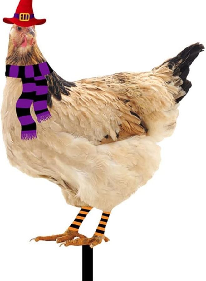ديكور حديقة حامل ساحة دجاج الهالوين لافتة حيوان خارجية Tyu210b ملون - Image 1