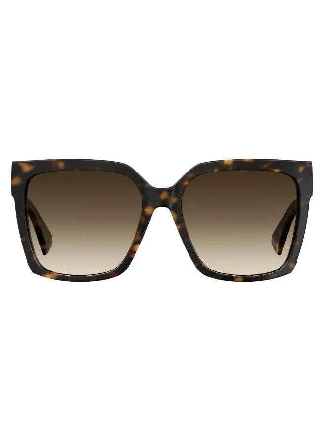 MOSCHINO Moschino Sunglasses MOS079/S