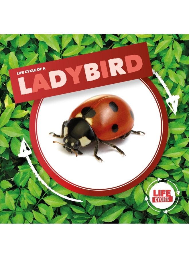 Ladybird - Hardback