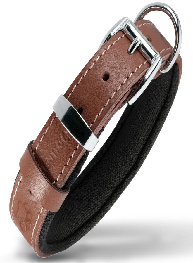 Filbert Leather Dog Collar, Genuine Leather Collar for Medium Dogs, Pawprint Embossed with Buckle, Top-Notch Quality Vegetable-Tanned Full Grain, Strong, Adjustable, Heavy Metal Buckle, Brown - Image 1