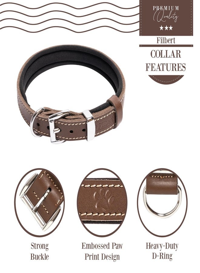 Filbert Leather Dog Collar, Genuine Leather Collar for Medium Dogs, Pawprint Embossed with Buckle, Top-Notch Quality Vegetable-Tanned Full Grain, Strong, Adjustable, Heavy Metal Buckle, Brown - Image 5