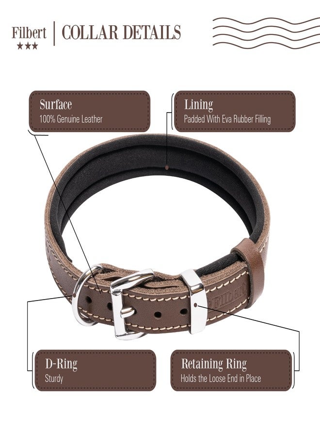 Filbert Leather Dog Collar, Genuine Leather Collar for Medium Dogs, Pawprint Embossed with Buckle, Top-Notch Quality Vegetable-Tanned Full Grain, Strong, Adjustable, Heavy Metal Buckle, Brown - Image 4