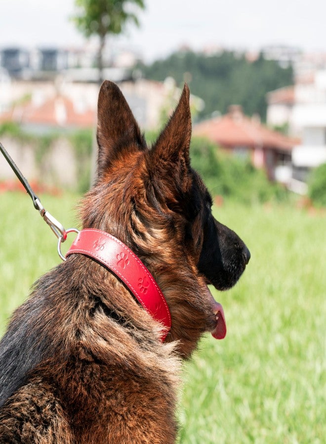 Filbert Leather Dog Collar, Genuine Leather Collar for Medium Dogs, Pawprint Embossed with Buckle, Top-Notch Quality Vegetable-Tanned Full Grain, Strong, Adjustable, Heavy Metal Buckle, Brown - Image 3