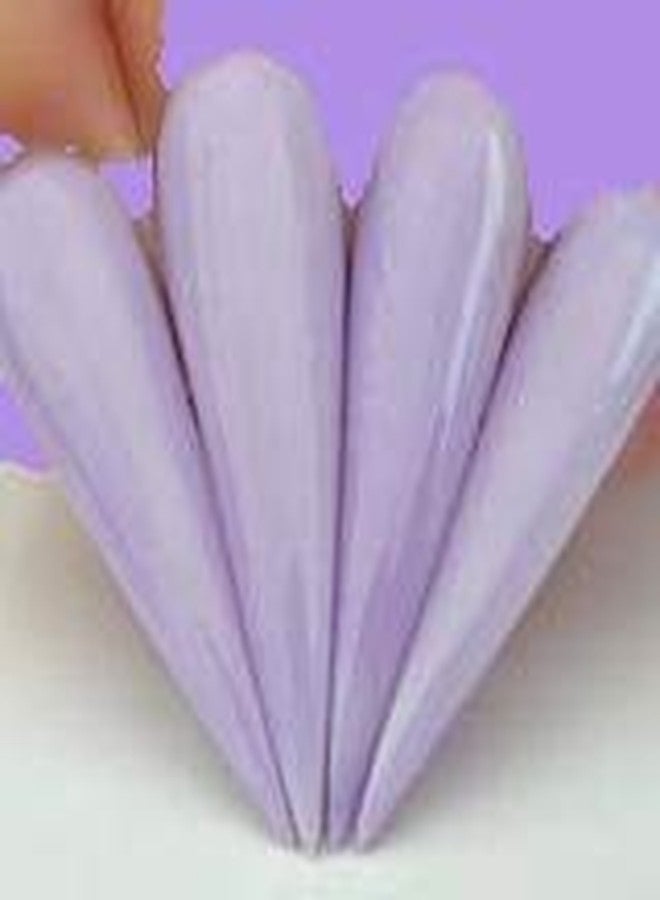 Kiara Sky Glow Collection Dip Powder 1 oz | Activate with UV, LED or sunlight | Anti Social - Image 5