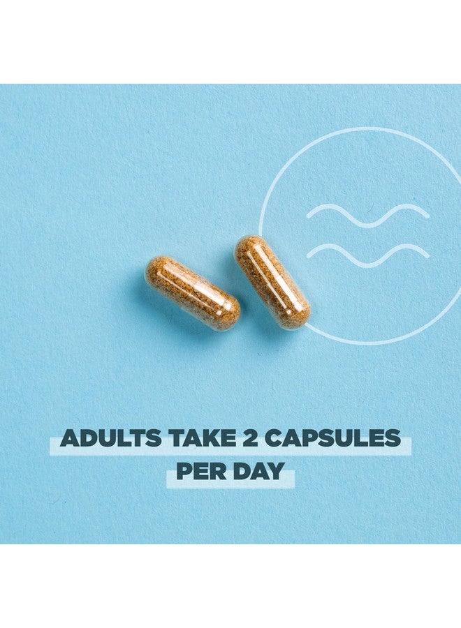 آينشنت نيوترشن Ancient Nutrition Regenerative Organic Certified Probiotics for Menopause Support, Probiotics Menopause Support, Healthy Digestive ودعم صحة المرأة، 50 مليار وحدة تشكيل مستعمرة* لكل وجبة، 60 حبة - Image 5