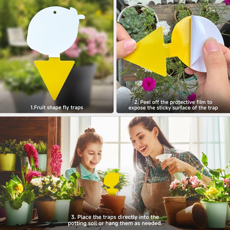 KIKALIFE Fruit Fly Trap & Fungus Gnat Traps 40 Pack â€“ Yellow Sticky Gnat Traps for House Indoor & Outdoor Plants, Non-Toxic and Odorless Insect Bug Catcher - Image 4