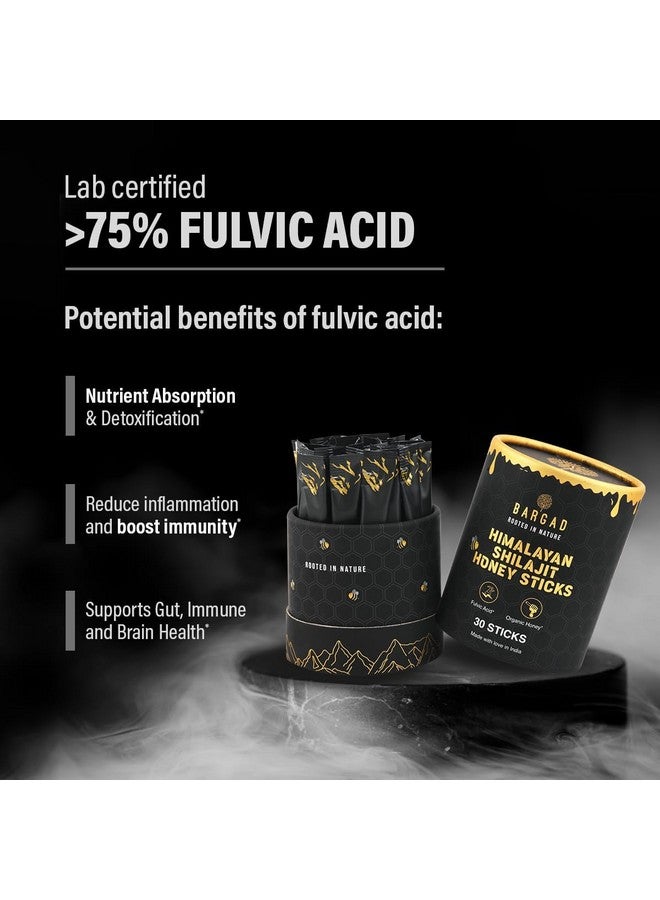 BARGAD Himalayan Shilajit Honey Sticks with Saffron - 30 Count | 75%+ Fulvic Acid, 85+ Trace Minerals | Natural Energy & Immunity Booster | Easy Single-Use Packets - Image 2