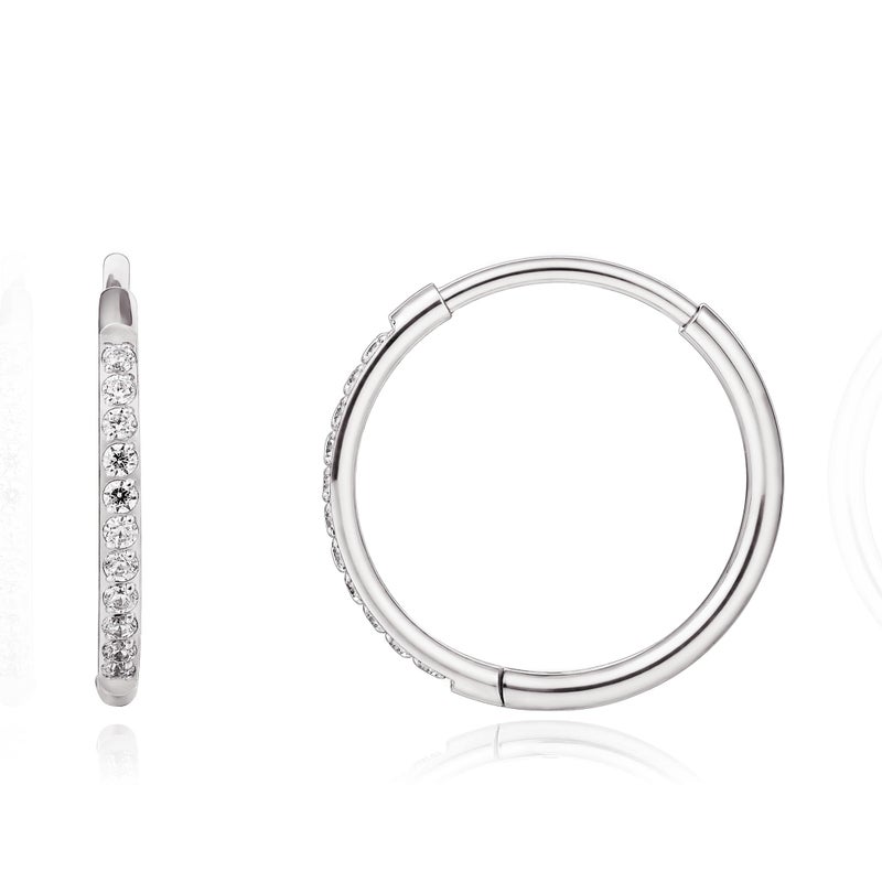Limerencia Titanium Hoop Earrings for Women,G23 Implant Grade Pure Titanium Lightweight Hoop Earrings for Women Men Sensitive Ears - Image 1