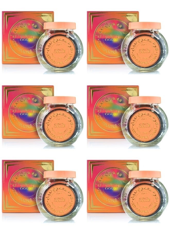 نبيل 6 قطع من معمول عود نبيل بخور عربي فاخر 40 جرام، بخور فاخر يدوم طويلًا لرائحة المنزل والاسترخاء والمناسبات الخاصة - Image 1