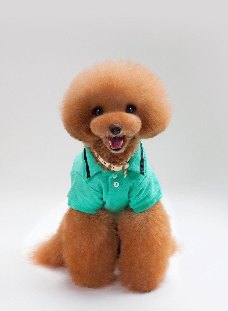 Loquat Casual dog T-shirt Green - Image 1