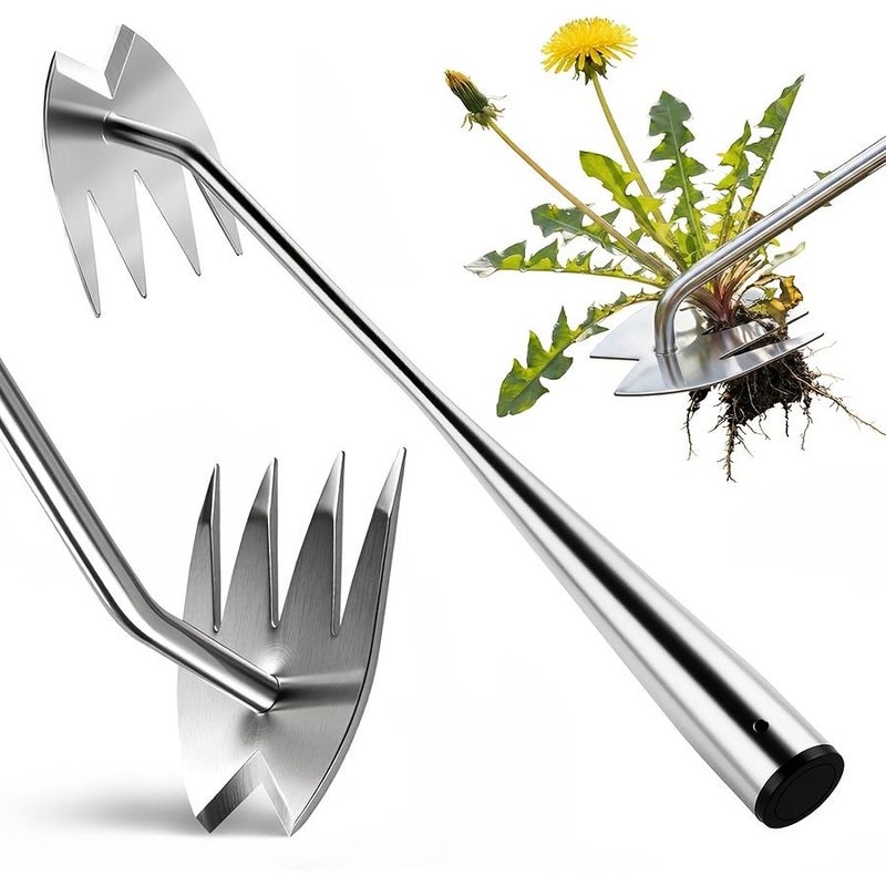 Upgraded Weed Puller Tool 4 Tooth Stainless Steel Manual Weeder Garden Weed Removal Tool for Vegetable Gardening Backyard Farm Planting and Weeding - Image 4