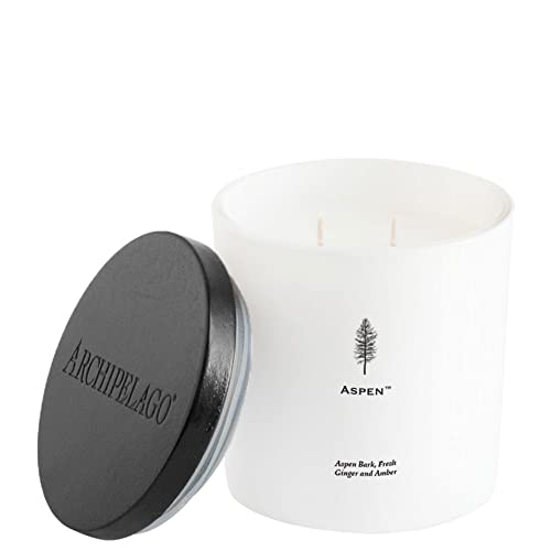 Archipelago Botanicals Aspen Luxe Candle, Aspen Bark, Amber and Musk Scent, Elegant White Glass Jar Candle, Coconut Wax, Double Wicks Burn 100 Hours (13 oz) - Image 1