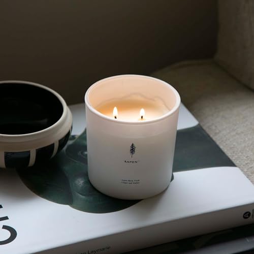 Archipelago Botanicals Aspen Luxe Candle, Aspen Bark, Amber and Musk Scent, Elegant White Glass Jar Candle, Coconut Wax, Double Wicks Burn 100 Hours (13 oz) - Image 4