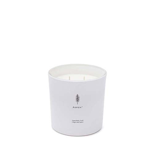 Archipelago Botanicals Aspen Luxe Candle, Aspen Bark, Amber and Musk Scent, Elegant White Glass Jar Candle, Coconut Wax, Double Wicks Burn 100 Hours (13 oz) - Image 2