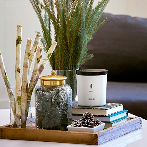 Archipelago Botanicals Aspen Luxe Candle, Aspen Bark, Amber and Musk Scent, Elegant White Glass Jar Candle, Coconut Wax, Double Wicks Burn 100 Hours (13 oz) - Image 5