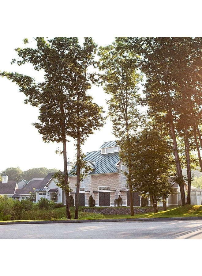 Stonewall Kitchen Tonewall Kitchen Coastal Breeze Hand Soap 16.9 Ounces (Pack Of 2) - Image 5