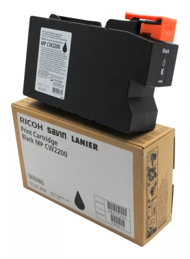 Black Ink Cartridge (841720)