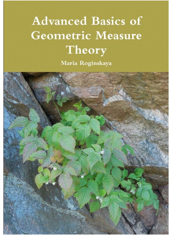 Advanced Basics of Geometric Measure Theory  - Image 1