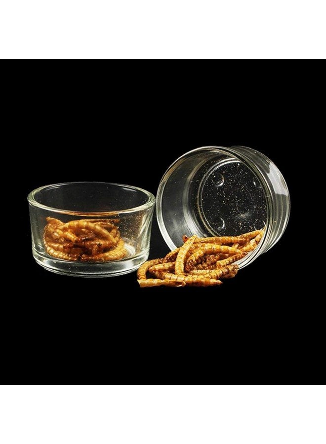 Senzeal 4X Glass Reptile Feeding Dish Food Water Bowl Feeder Bowl Cup Basin Tray Container for Small Pets Reptile Lizard Spider Scorpion Corn Snake Centipede Crickets - Image 4