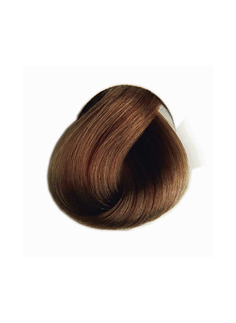 Selective Professional Selective Colorevo 6.23 Dark Blonde Golden Beige - Image 2